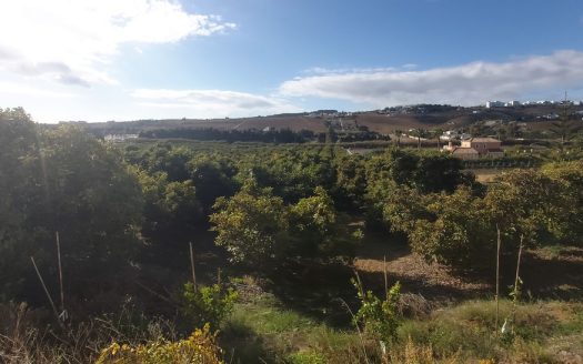 Pozemky Pozemok + ruiny v Estepona provincia Málaga